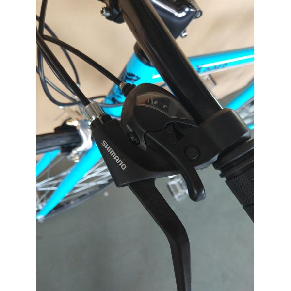 Black Color 21 Speed Double V Brake Fitness Racing Road Bike Customize Logo for Men
