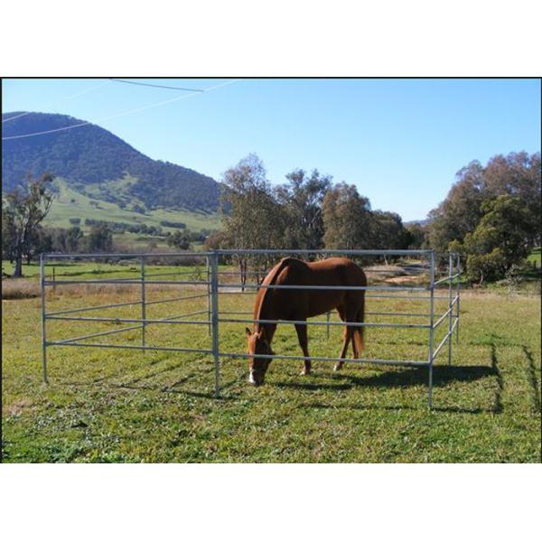 1.8m Height Cattle Farm Panels , Animal Metal Horse Fence Panels Flexible