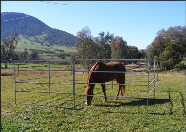 1.8m Height Cattle Farm Panels , Animal Metal Horse Fence Panels Flexible