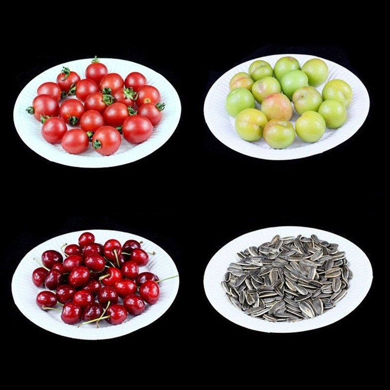 Eco-Friendly Biodegradable Paper Pulp Food Plate Paper Food Containers Customization