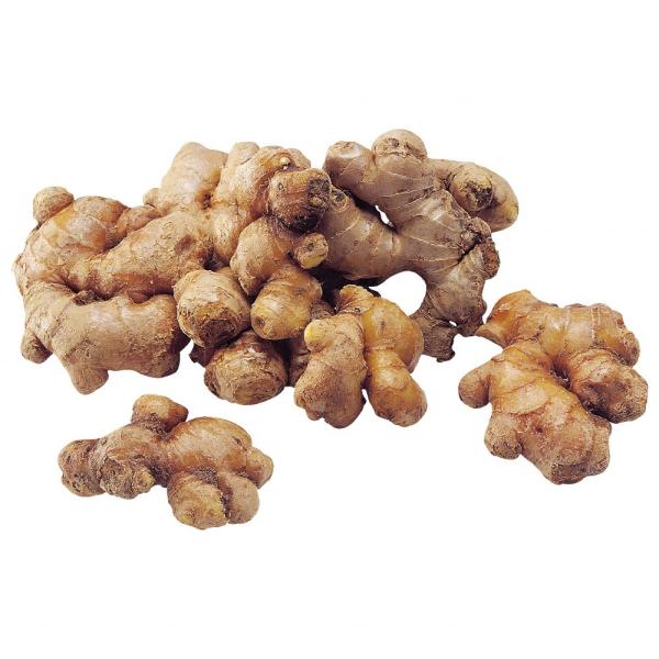 Hot Spicy Fresh Ginger Dried Ginger 150G up for Distribution