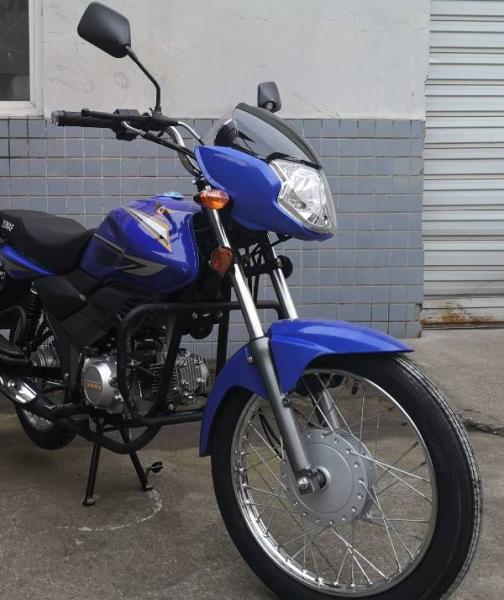 OEM High End 110cc Street Legal Motorcycle Gas/ Diesel Fueled