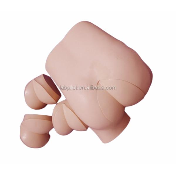 Advanced DRE Nursing Training Simulator Clinical Skills Model for Rectal Touch Examination