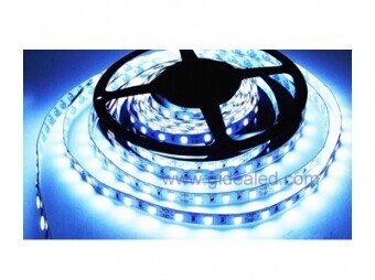 SMD5630,DC12V Waterproof LED flexible strip,IP65,higher energy-saving led strip