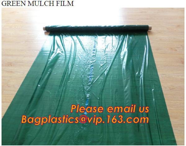Good quality plastic mulch/Greenhouse packaging mulch jumbo rolling agriculture black plastic film