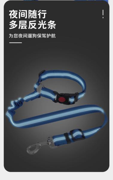 Adjustable Pet Car Safety Belt | 2.5cm Heavy-Duty Dog Seat Belt with D-Ring | Universal Vehicle Safety Leash (4 Colors) | Crash-Tested Dog Restraint
