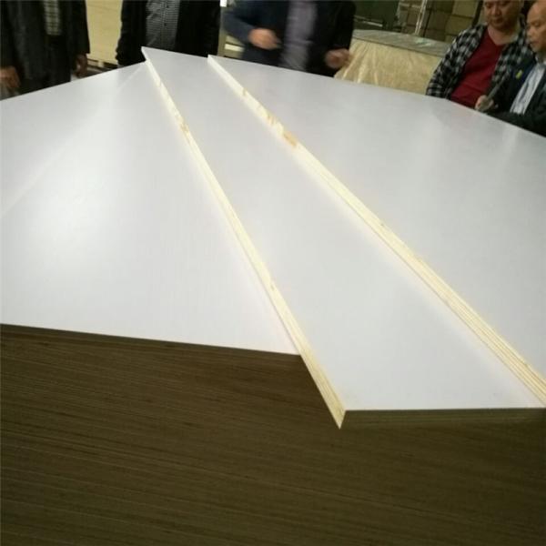 1220*2440mm Melamine Faced Plywood