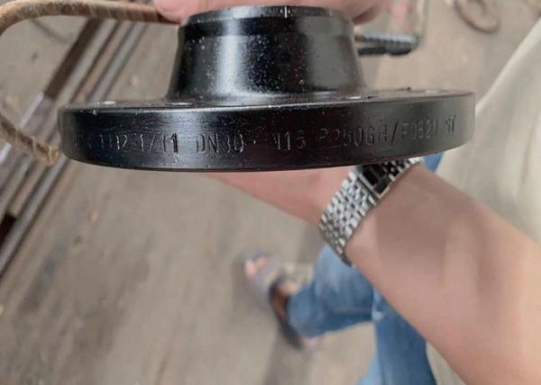 O aço carbono Astm A105 da flange STD Asme B16.47a do pescoço da solda aumentou a flange de aço frente e verso do pescoço da cara S32750