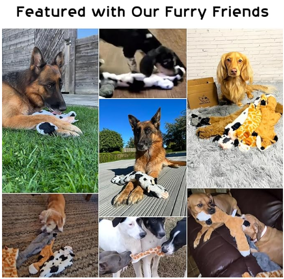 Double Layer Reinforced Fabric Durable Cute No Stuffing Chewtle Plush Squeaky Dog Toys