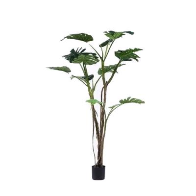 As plantas artificiais contemporâneas Deliciosa da casa, decoração artificial da planta coloriram Vibrantly