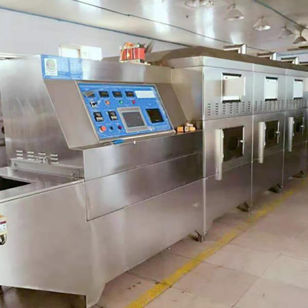 Black Soldier Shrimp Mirowave Dryer Machine 220V 50 To 500kg/ H Tunnel Drying Machine