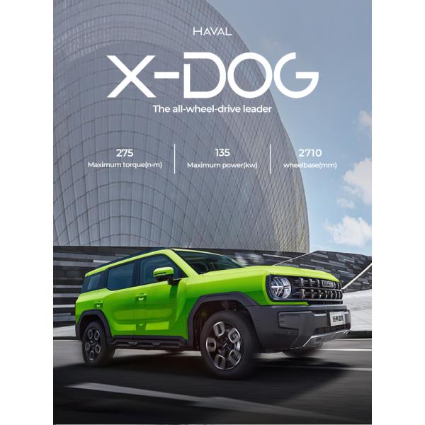 Haval X-Dog Petrol Gasoline Economical SUV Used 175km/H
