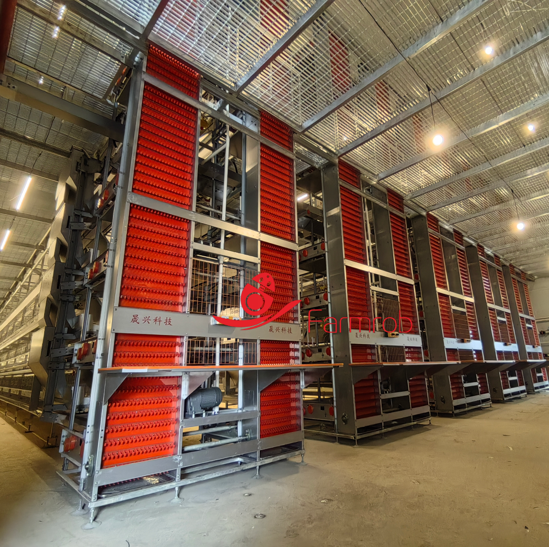 Improved Farm Poultry Battery Cage System for Commercial Laying Duck Farms