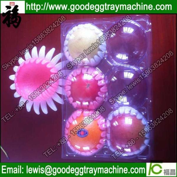 Plastic pan foam tray