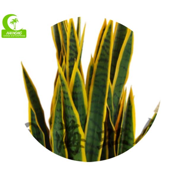 Planta suculento artificial de H100cm