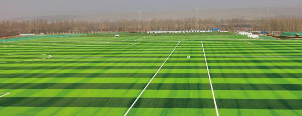 16800 Densité Herbe artificielle respectueuse de l'environnement facile à installer 30 mm 50 mm gazon extérieur pour les besoins du terrain de sport