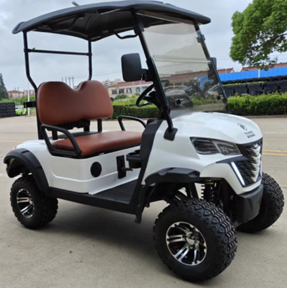 Electric Four Wheel New Energy 2 Seater Off Road Lifted Golf Carts