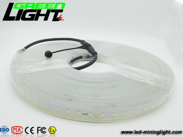 12v DC IP68 17W SMD5050 Flexible Led Strip Lights