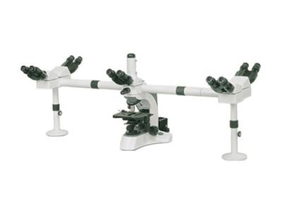 Multi Head WF10X Lab Biological Microscope For Medical Students Achromatic Optical