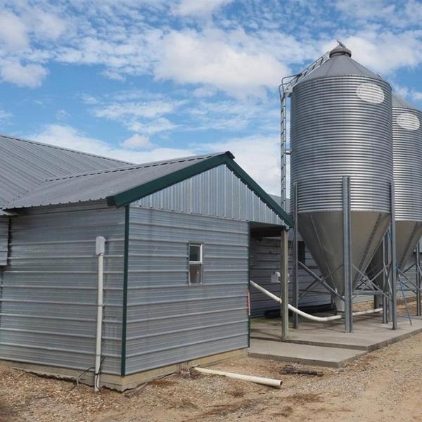 簡単に組み立てられる 50年以上の寿命の鋼製の鶏棚