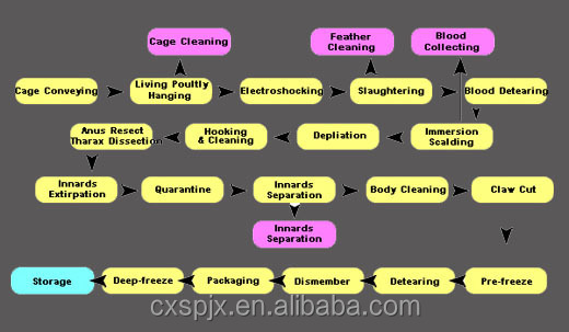 Специализированная машина для убоя цыплят, уток, индейки, гусей 2000BPH для птицы