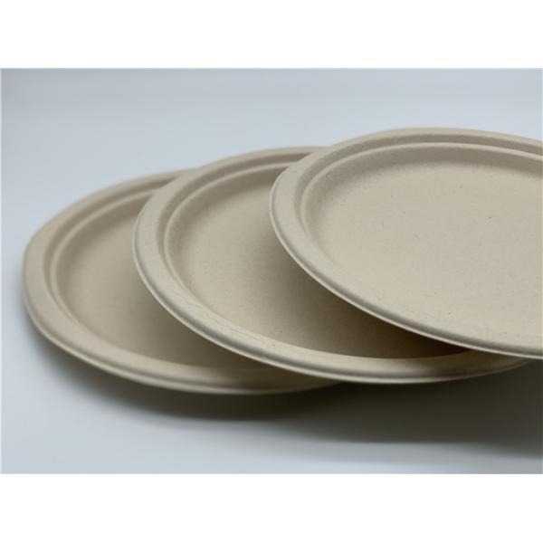 Food Grade Biodegradable Sugarcane Bagasse Plates Round Eco-friendly Food Container