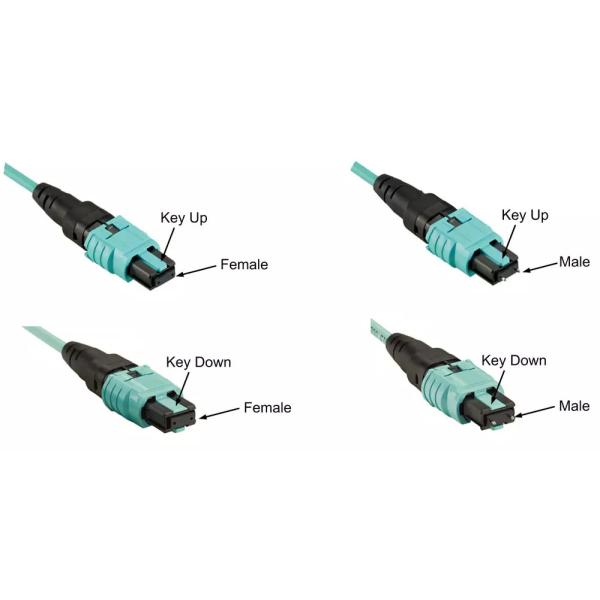 OM3 72 Fiber Mutimode SM MM MPO MTP Cables