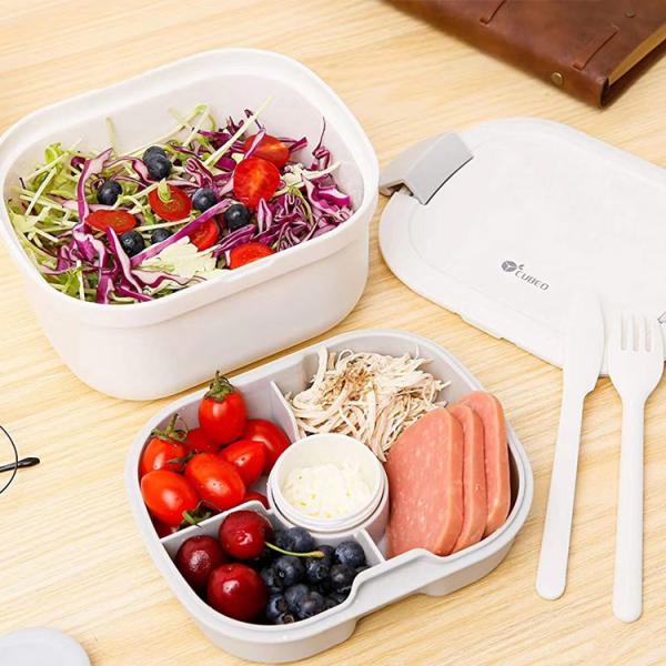 Large Capacity Take Away BPA Free Eco Friendly Food Container with Lid Fork and Knife
