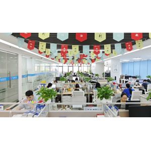 Optical Network Video Technologies (Shenzhen) Co., Ltd.
