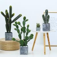 Cacto da forma e planta plástica falsificada suculento para a decoração da casa