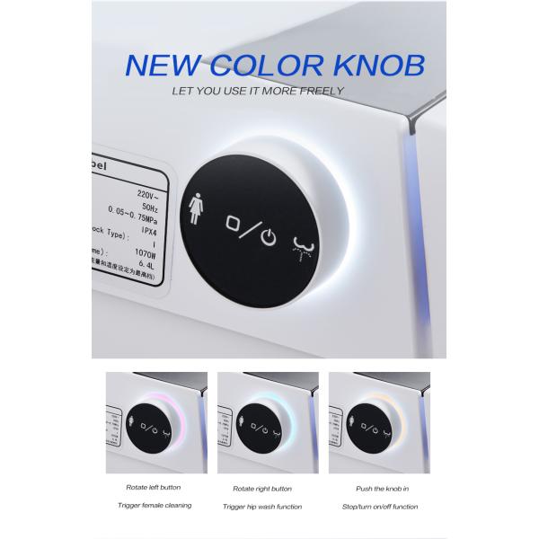 Пол системы туалета гостиницы умный - установил умный туалет автоматическое топя 220V