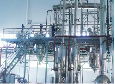 Equipamento erval 304 de aço inoxidável da extração da eficiência alta