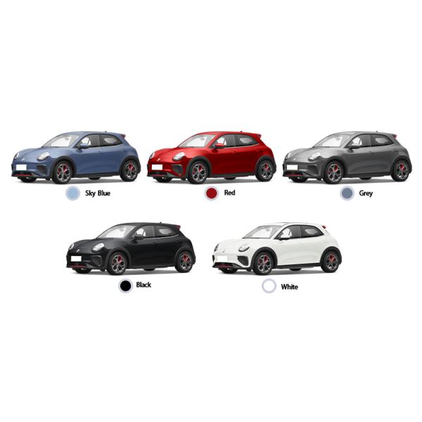 Single Motor ORA Good Cat GT Pure Electric Vehicle Elegant And Unique