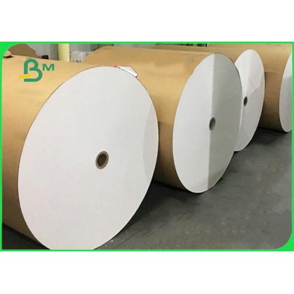 Disposable 300gsm + 10g PE Lunch Box Paper For Food Packing 100% Biodegradable