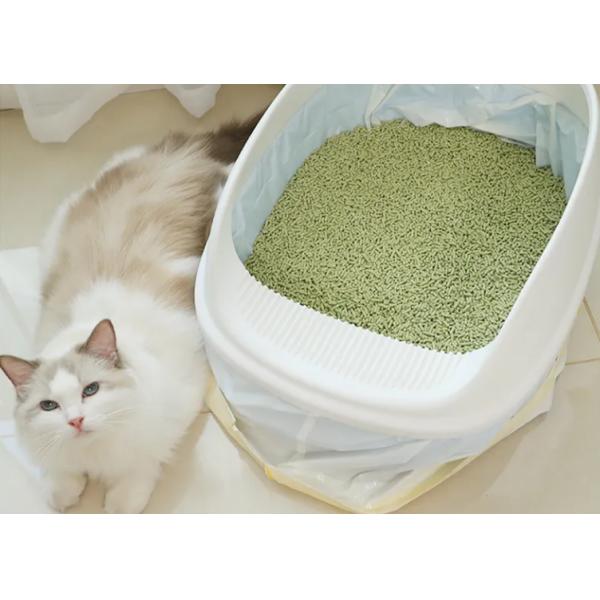 Long Lasting Pet Cat Litter With Enhanced Odor Control 25kg Packing