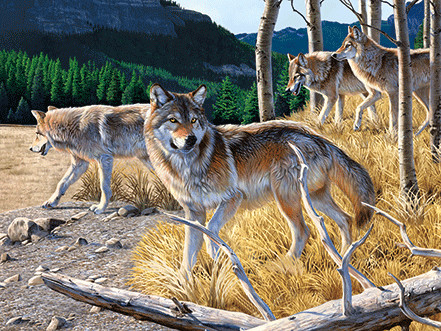 0.6mm PET+157g Coated Paper 3D Lenticular Pictures / 3D Lenticular Wall Art