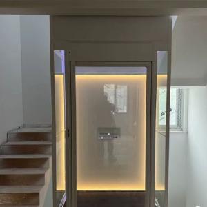 2.9 metros de fase única elevadores hidráulicos Mrl casa com porta automática e