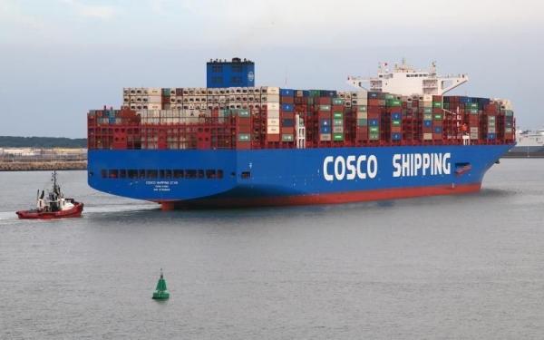 40HQ Container Sea Freight Shipping To Singapore Full Container Load