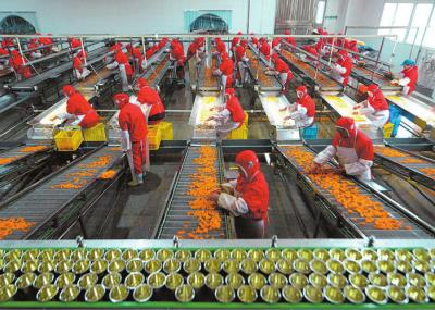 Plastic Cup Canned Food Production Line , Fruit And Vegetable Processing Equipment