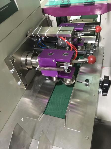 CE certificate Taichuan Automatic lemon friut vegetable pillow packaging machine