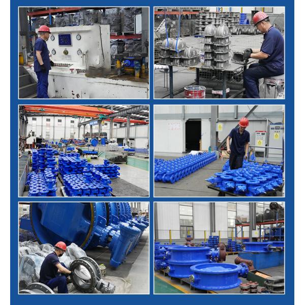 Double Ecentric Bi-directional Metal sealed Cast Iron Electric Actuator butterfly Valve