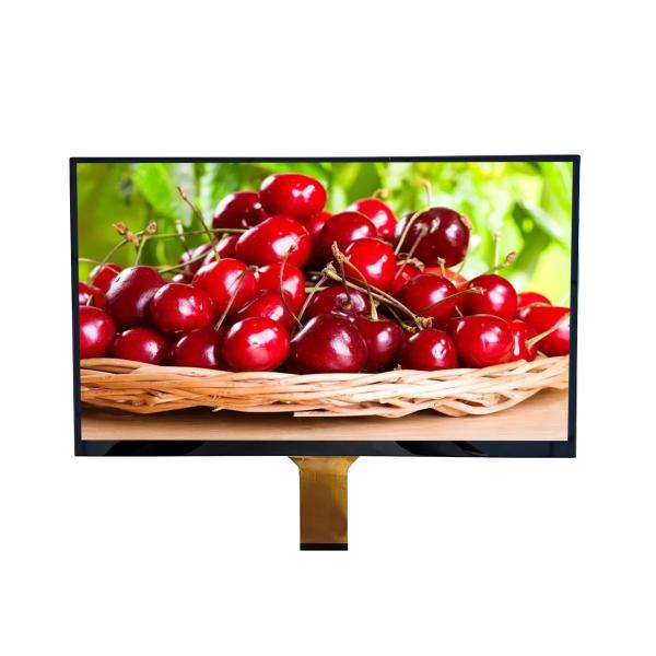 15.6'' 210cd Waterproof LVDS TFT Display TFT LCD Capacitive Touchscreen 1920*1080