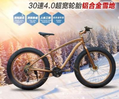 Load 150kg 30 Speed 26 Inch Wheel Fat Tire Sand Bike