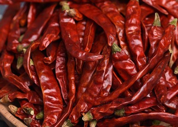 Noodles Chili Oil Spicy Liquid Natural Food Seasoning For Noodle And Pasta