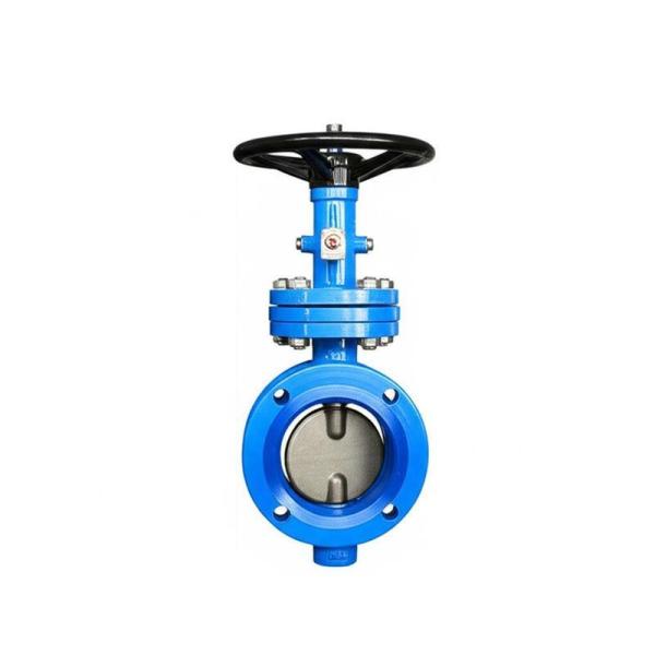 Industrial Butterfly Valve for PN16 Pressure in Industrial Applications