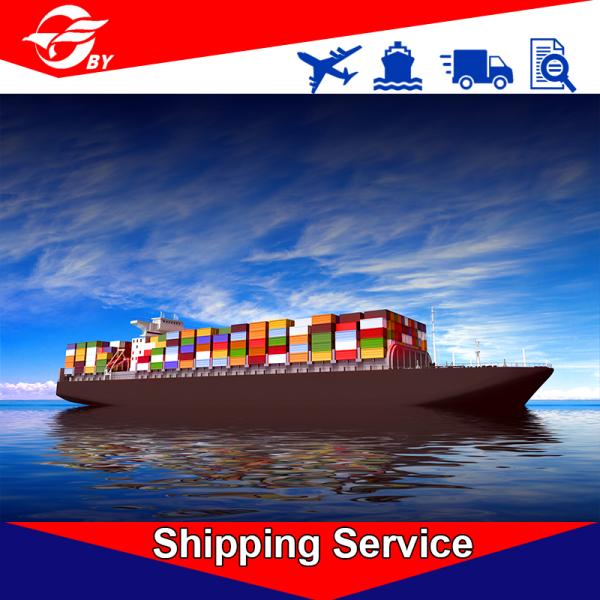 Experienced Door To Door Sea Freight Forwarding Services China To USA