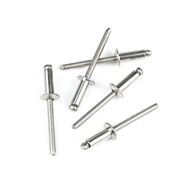 Résistant à la corrosion en acier inoxydable Ss316 Rivets à tête en forme de dôme