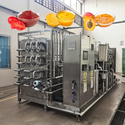 Capacity 1T/H - 20T/H Fruit Processing Line Built In CIP System