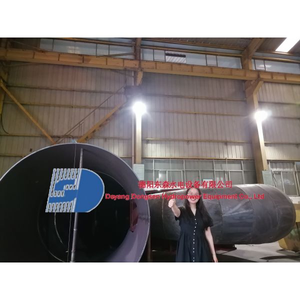 Francis Turbine Generator with 300kW to 20 MW Power Output and Automatic Governor Control for 50 Hz or 60 Hz Hydropower Plants