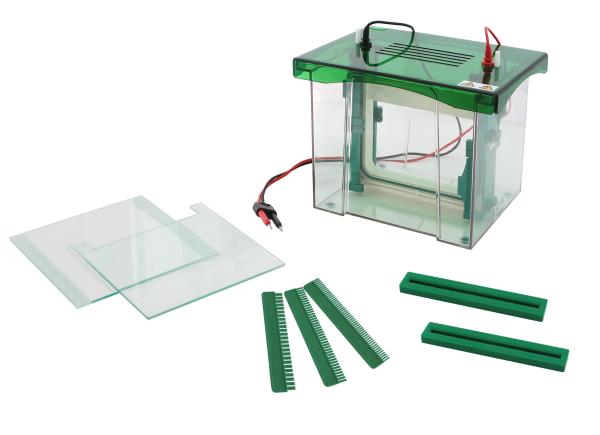 Durable Vertical Gel Electrophoresis Equipment 280 × 140 × 250 Mm Dimension